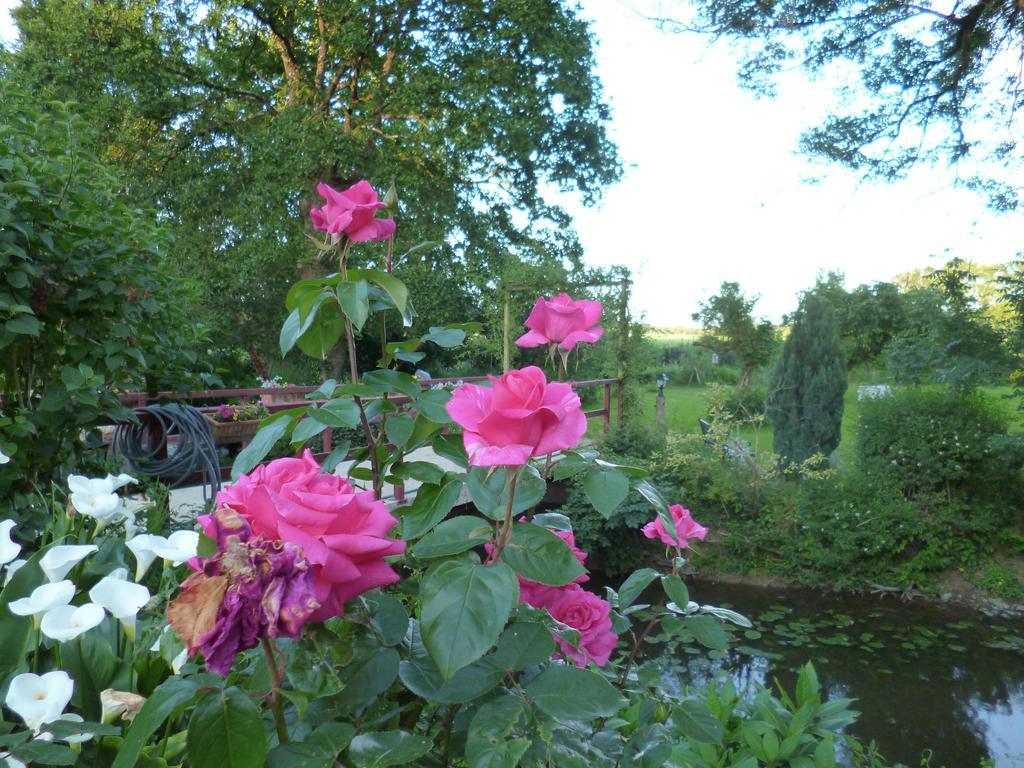 Le Moulin Du Bignon