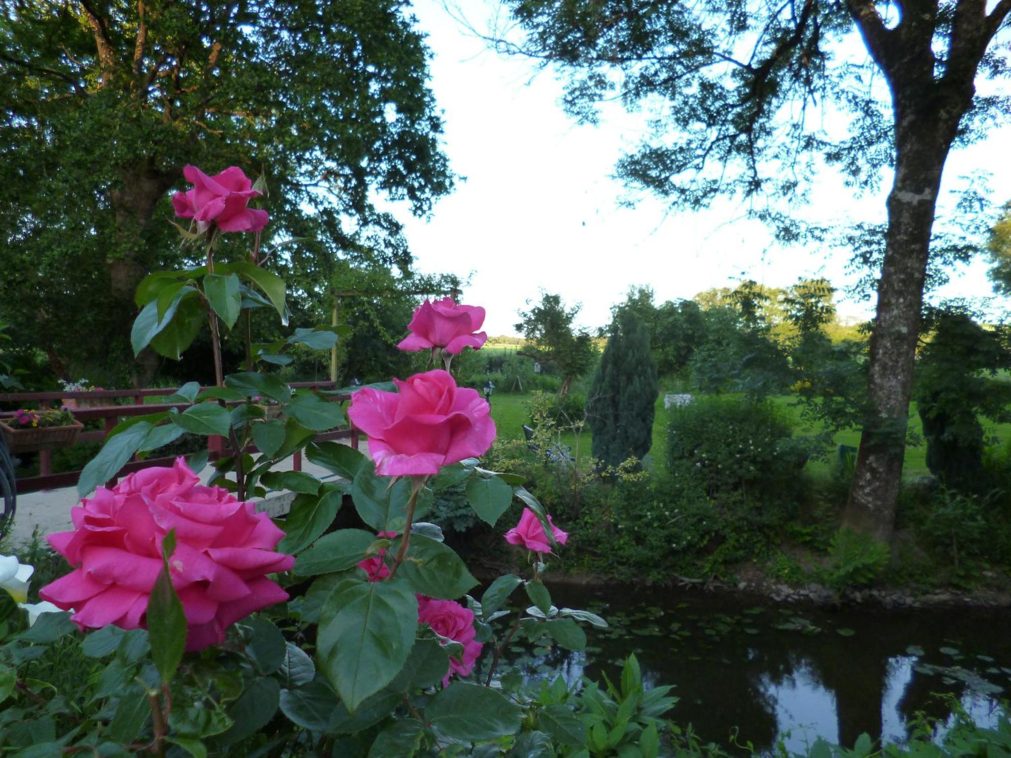 Le Moulin Du Bignon *