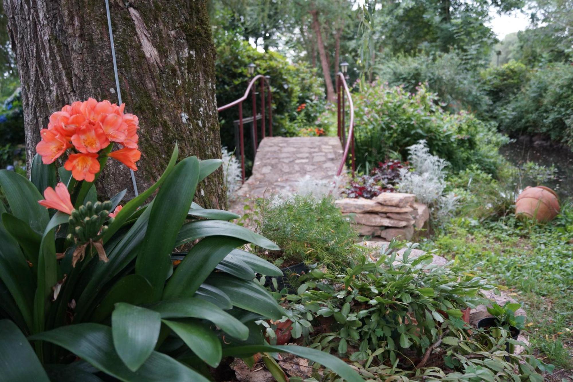 Bed & Breakfast Le Moulin Du Bignon Lassy