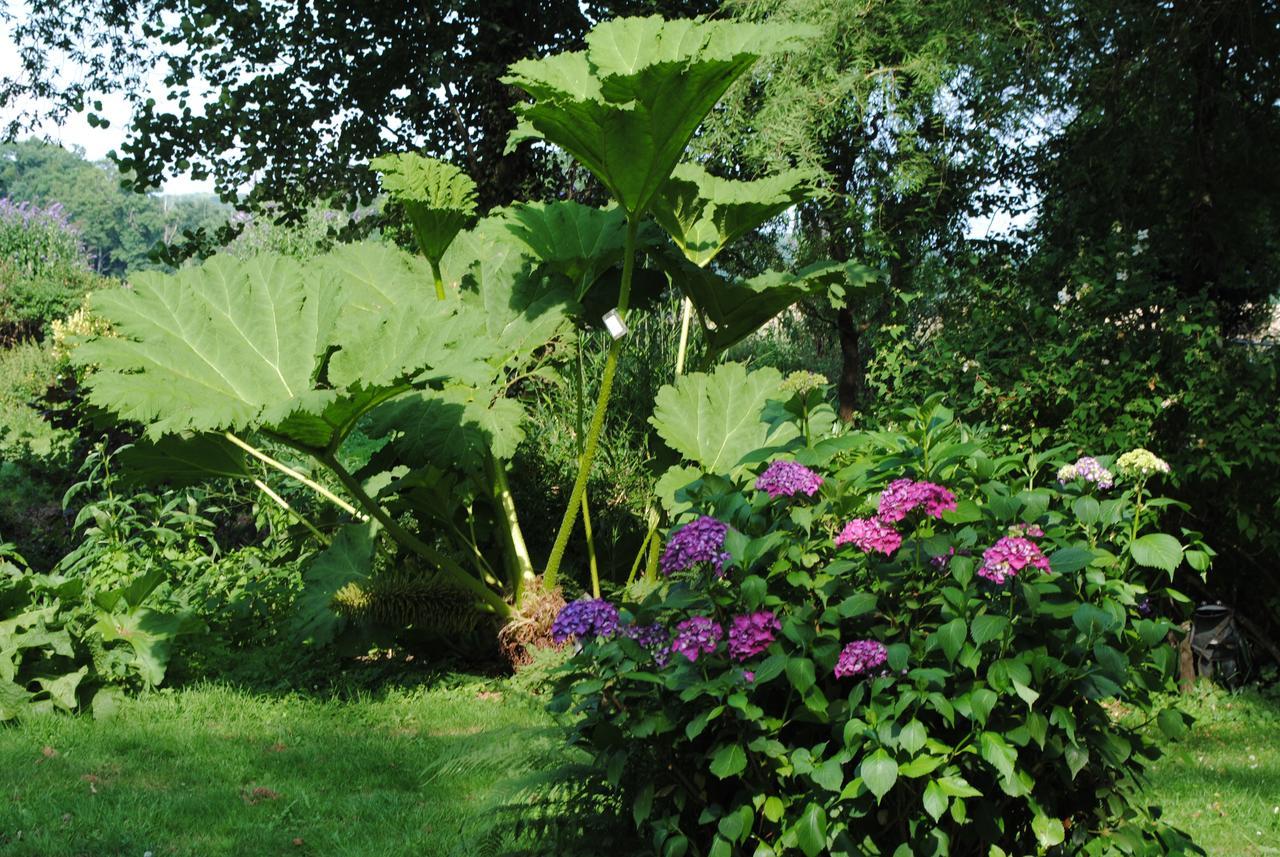 Bed & Breakfast Le Moulin Du Bignon