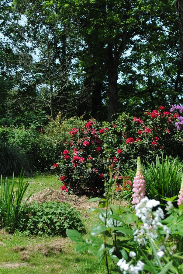 Bed & Breakfast Le Moulin Du Bignon Lassy